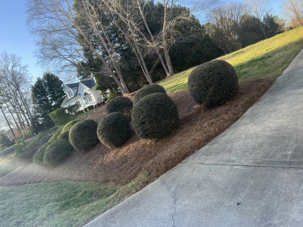 Reliable residential landscaping for residential properties in Raleigh, NC by Green life landscaping