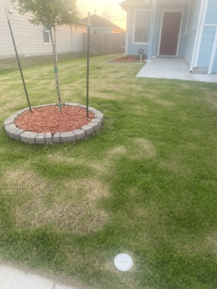 Professional landscape installation for homes in Rhome, TX by Green Life Landscaping