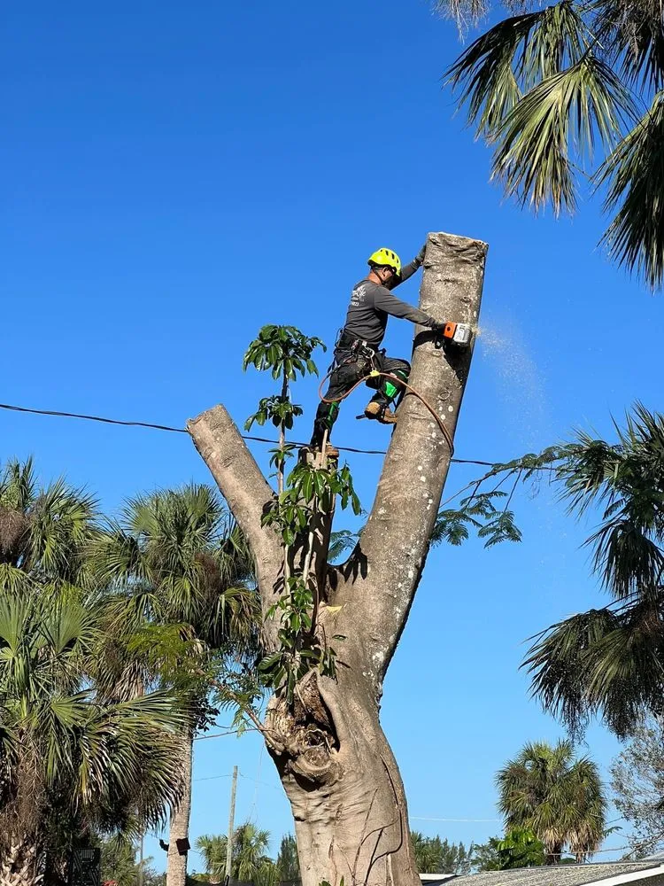 Expert residential landscaping in Bonita Springs, FL - Green Life Lawn Care & Tree Service