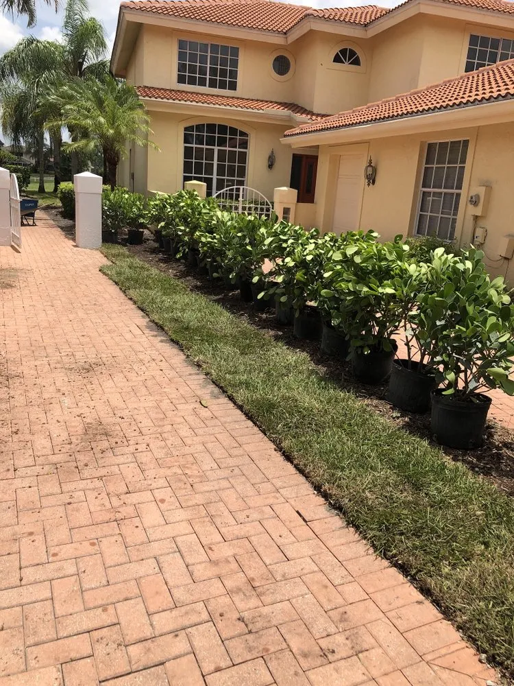 Reliable landscaping services for outdoor upgrades across Bonita Springs, FL - Green Life Lawn Care & Tree Service