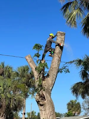 Green Life Lawn Care & Tree Service Logo