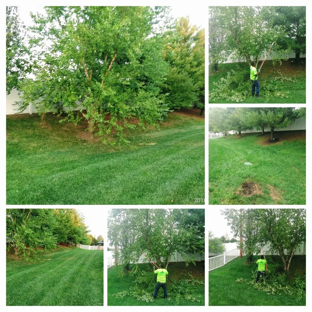 Trusted lawn mowing service experts serving Ofallon, MO - Green Life Lawn Care and Landscaping