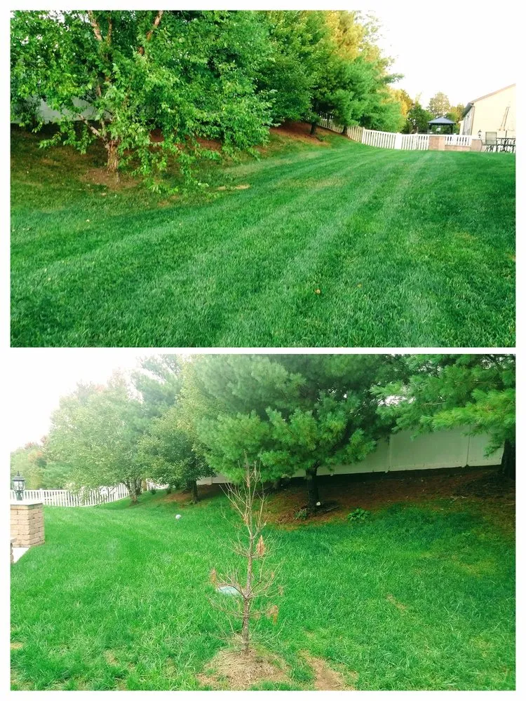 Local landscape installation in Ofallon, MO - Green Life Lawn Care and Landscaping