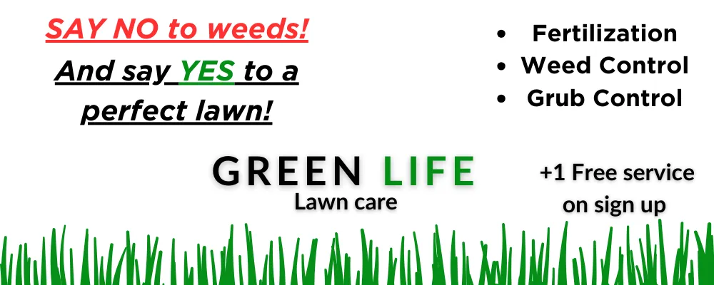 Custom yard cleanup service experts serving Harrisville, UT - Green Life Lawn Care