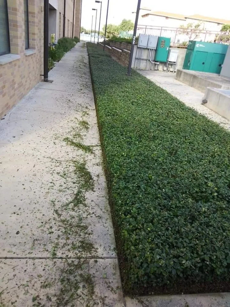 Custom yard cleanup service for homes in San Antonio, TX by Green Life Lawn Service