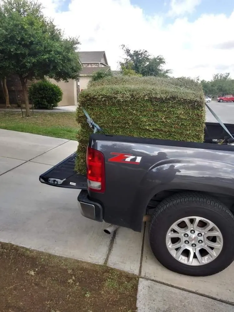 Local landscape design in San Antonio, TX by Green Life Lawn Service