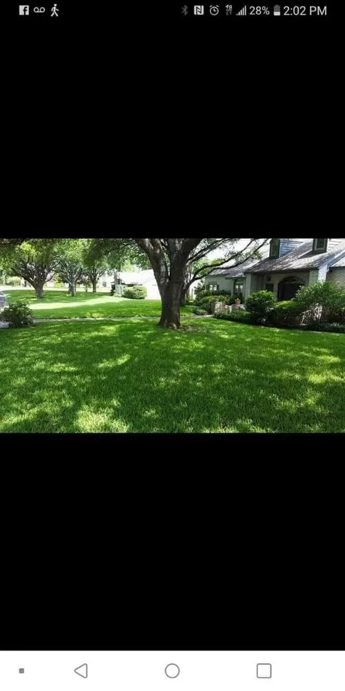 Professional lawn care service for residential properties across San Antonio, TX - Green Life Lawn Service