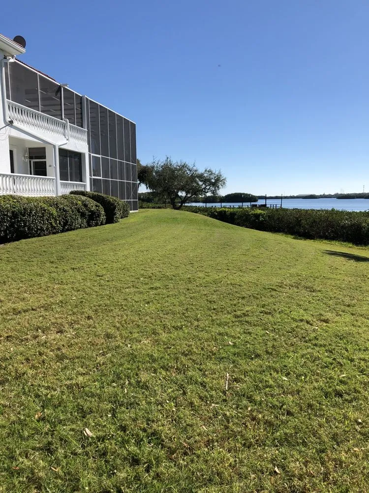 Top-rated outdoor landscaping for year-round maintenance across Pinellas Park, FL - Green life lawns