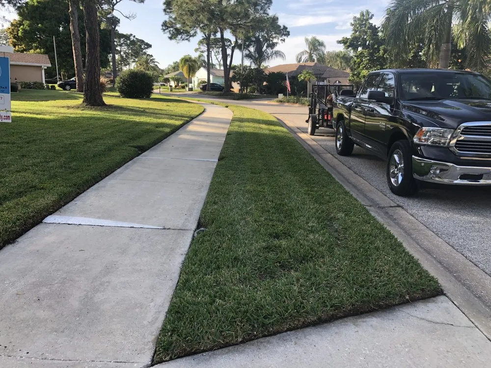 Reliable lawn care service for year-round maintenance in Pinellas Park, FL by Green life lawns