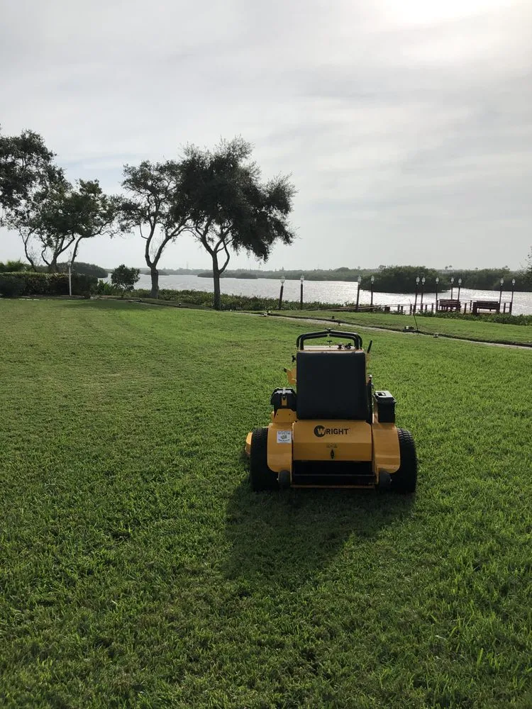 Local yard maintenance in Pinellas Park, FL by Green life lawns