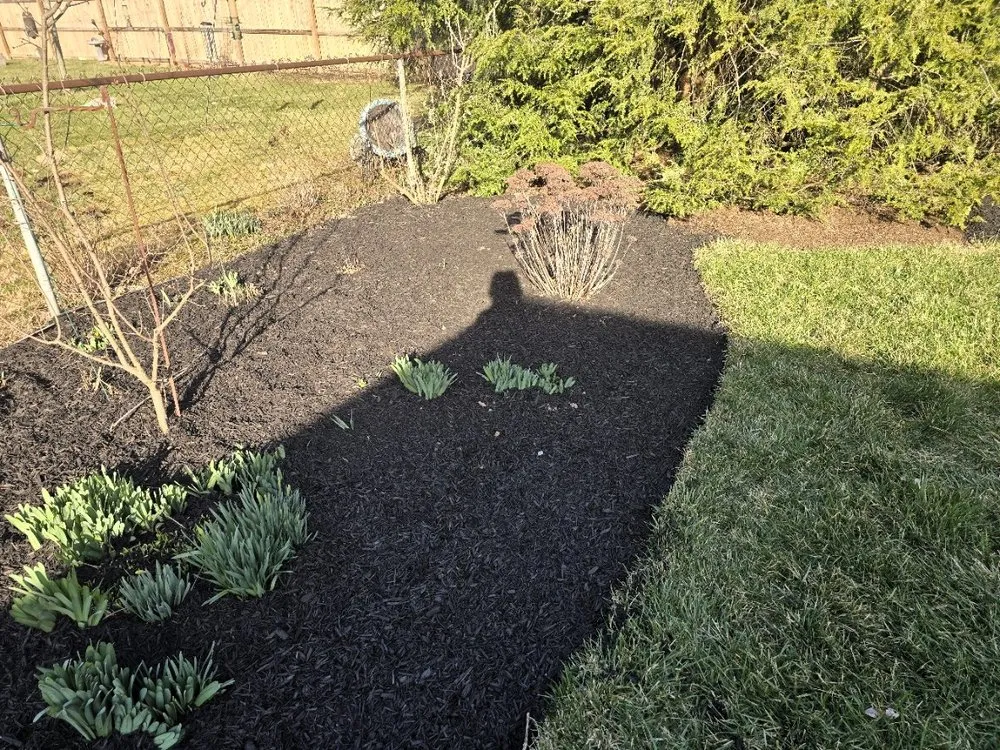 Top-rated lawn care service in Newark, OH - Green Life Property Services