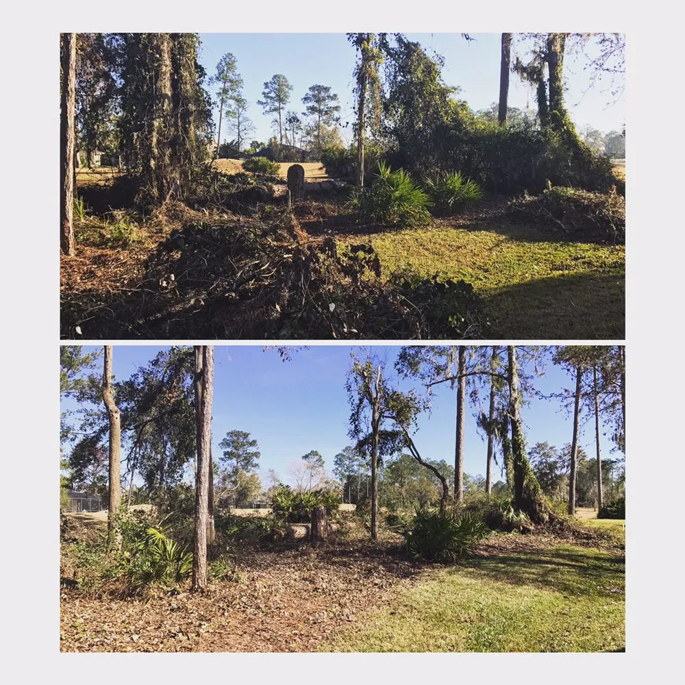 Local garden landscaping for beautiful yards in Orange Park, FL by Green Life Property Services