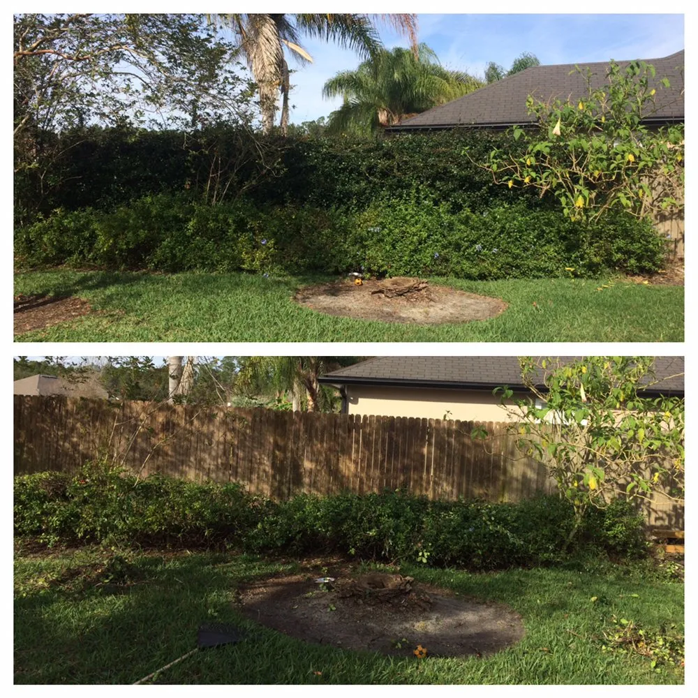 Local landscape design for residential properties across Orange Park, FL - Green Life Property Services