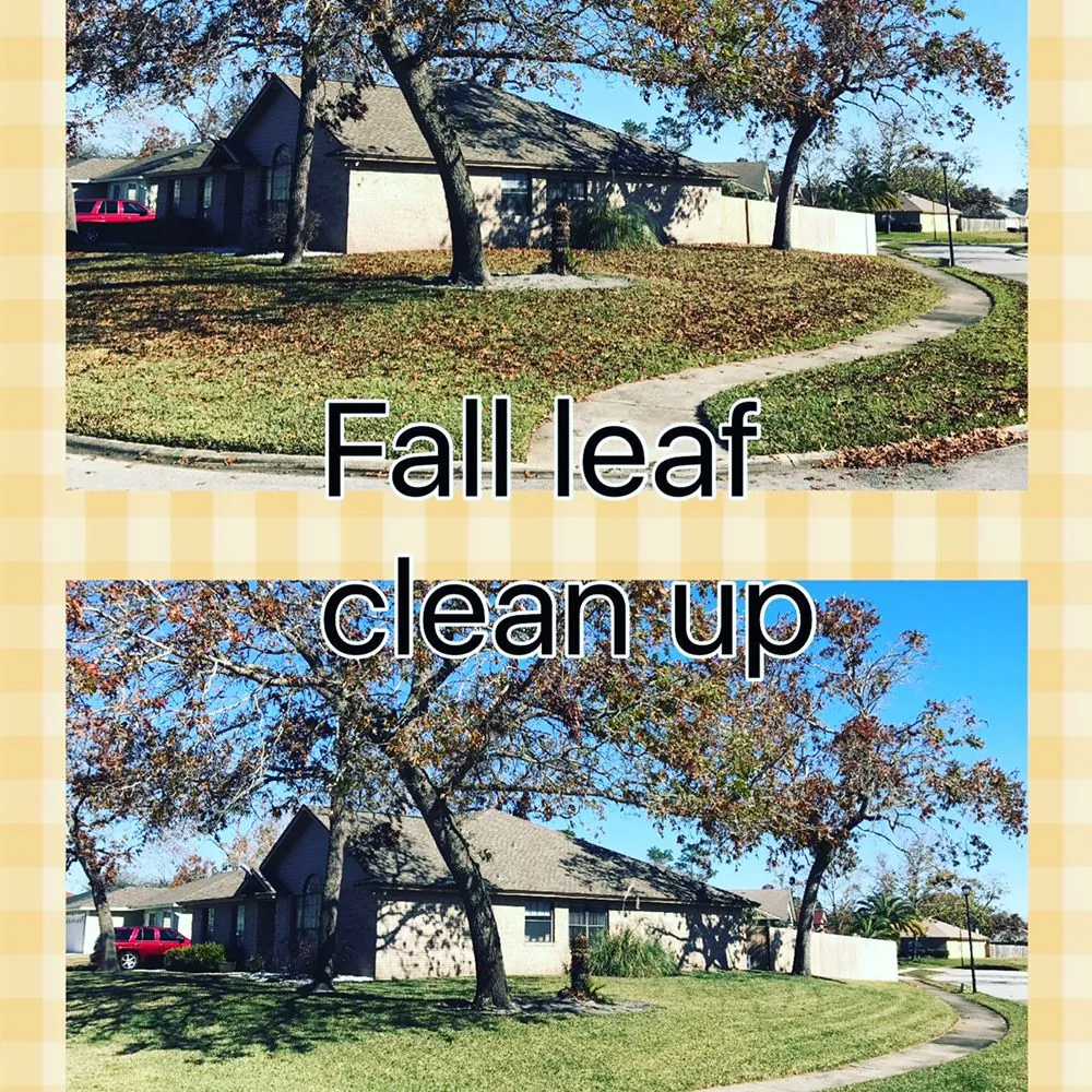 Professional outdoor landscaping in Orange Park, FL by Green Life Property Services