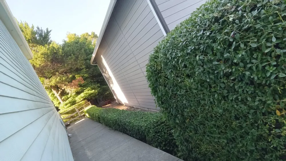 Top-rated landscape installation in Florence, OR - Green Life Services