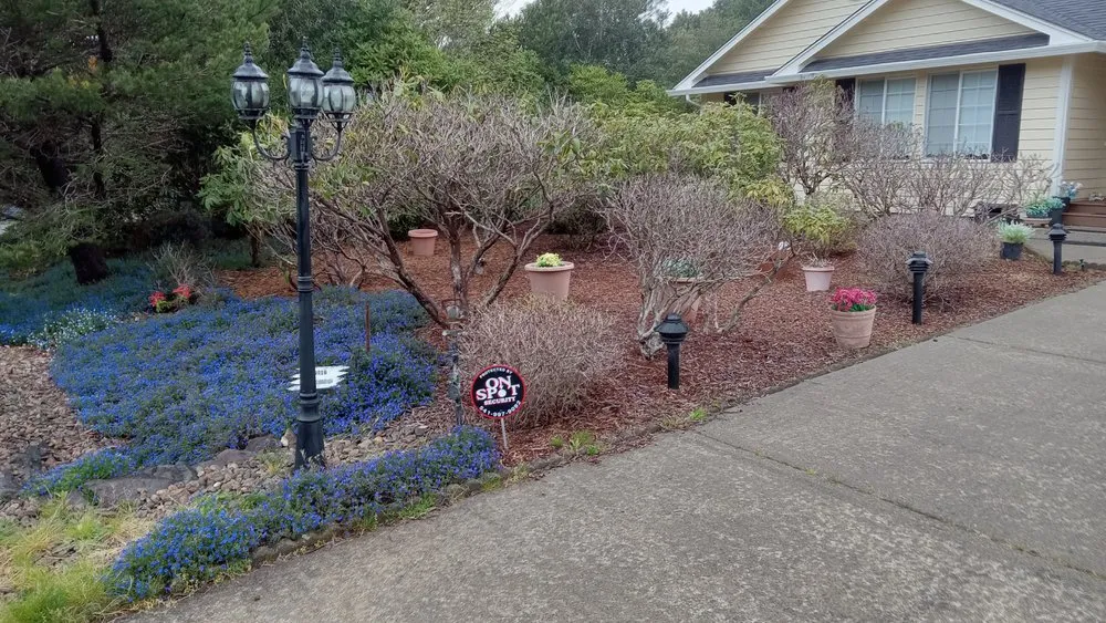 Professional garden landscaping in Florence, OR - Green Life Services