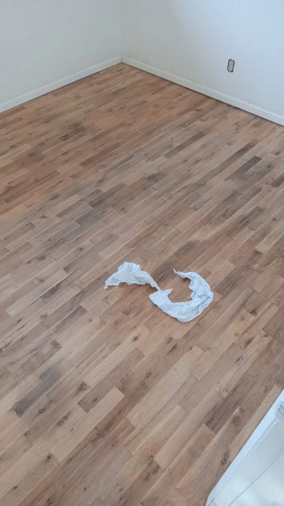 Affordable yard cleanup service experts serving Florence, OR - Green Life Services