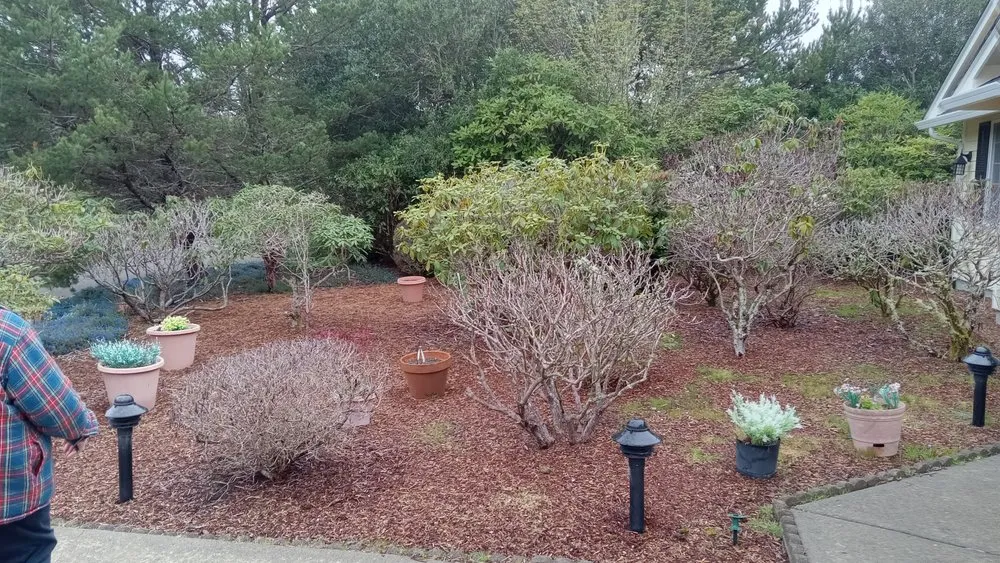 Affordable lawn care service in Florence, OR by Green Life Services