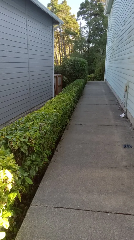Reliable garden landscaping in Florence, OR - Green Life Services