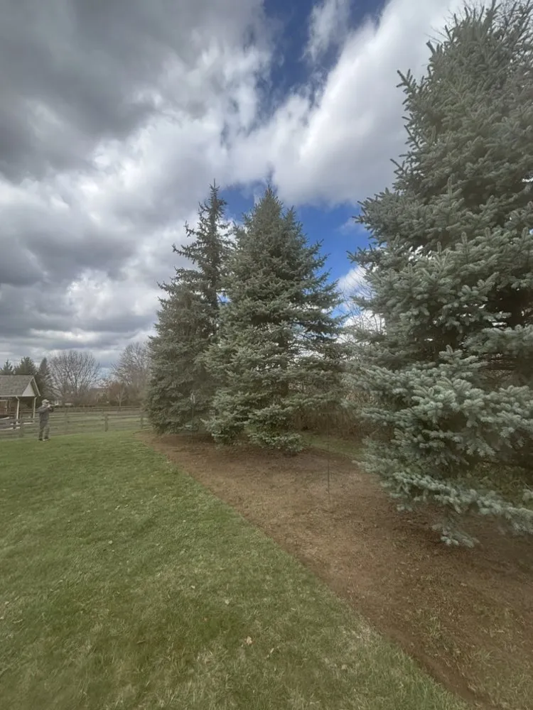 Custom outdoor landscaping in Sharonville, OH - Green Life