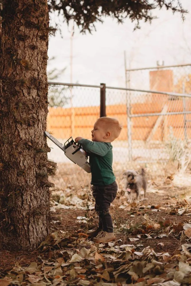 Custom yard cleanup service in Thermopolis, WY by Green Life Solutions