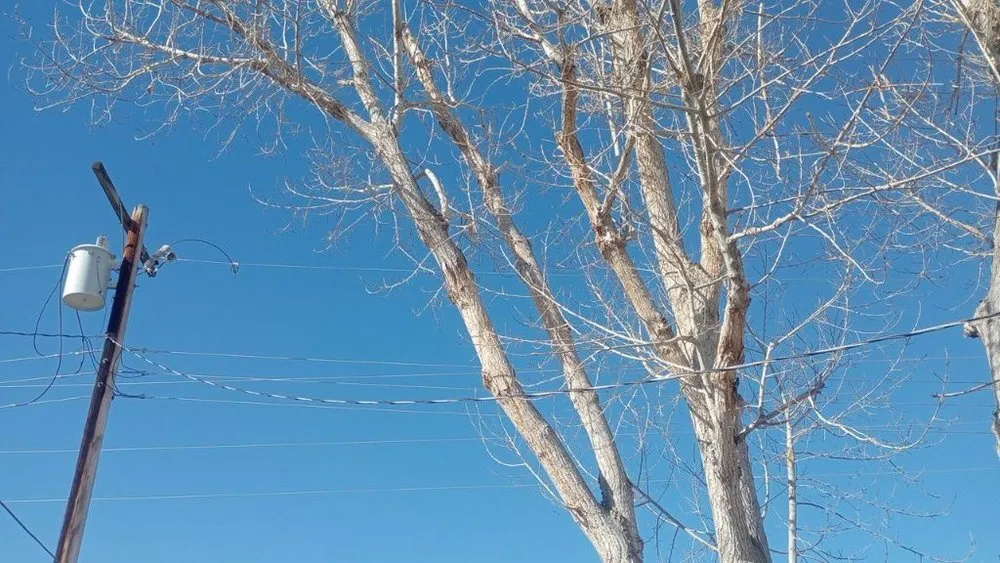 Trusted lawn mowing service in Thermopolis, WY by Green Life Solutions