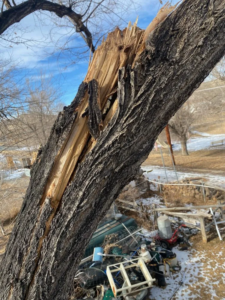 Expert residential landscaping in Thermopolis, WY by Green Life Solutions