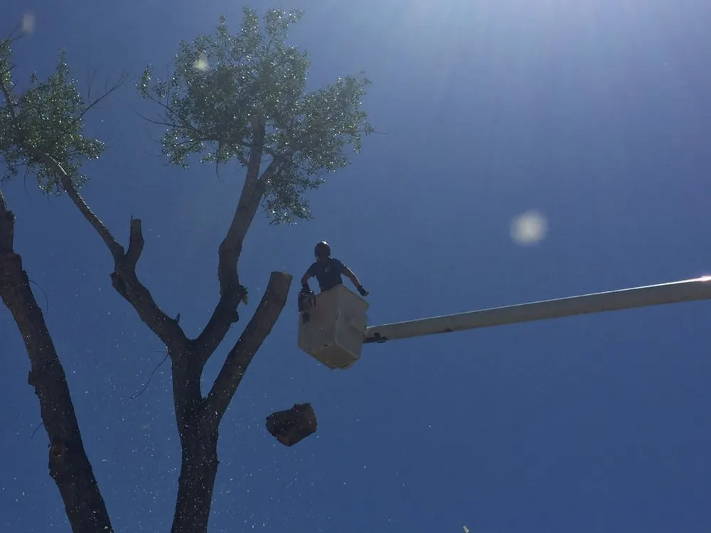 Reliable lawn care service in Thermopolis, WY by Green Life Solutions