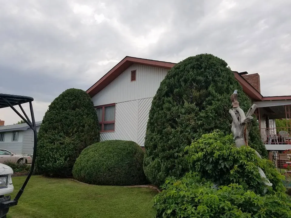 Affordable yard cleanup service in Thermopolis, WY - Green Life Solutions