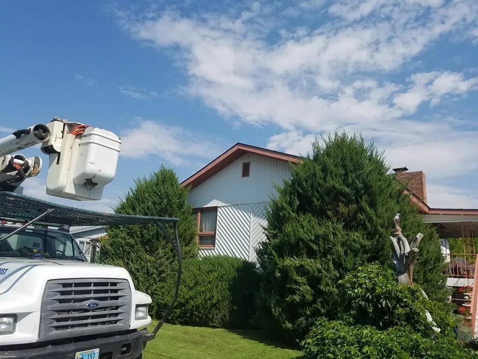 Reliable landscape installation in Thermopolis, WY by Green Life Solutions