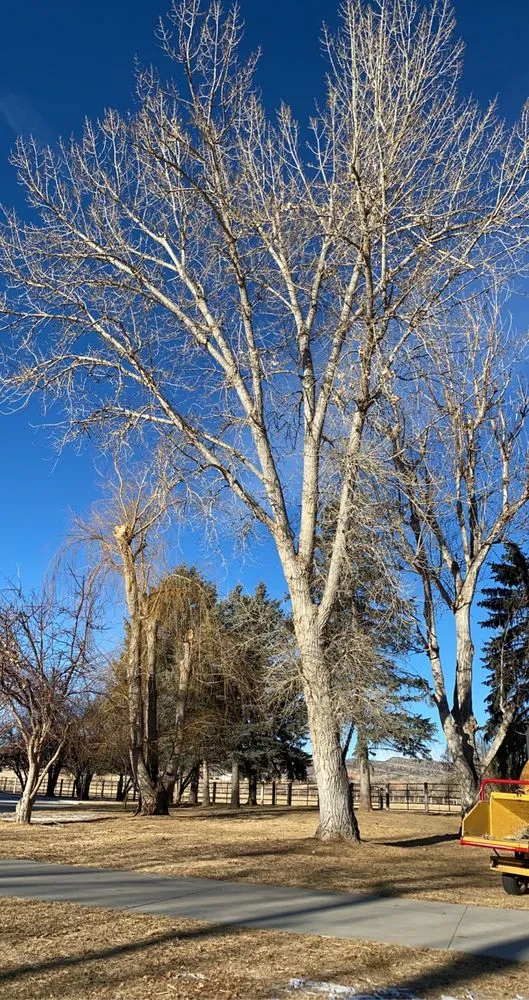 Trusted lawn mowing service for beautiful yards in Thermopolis, WY by Green Life Solutions