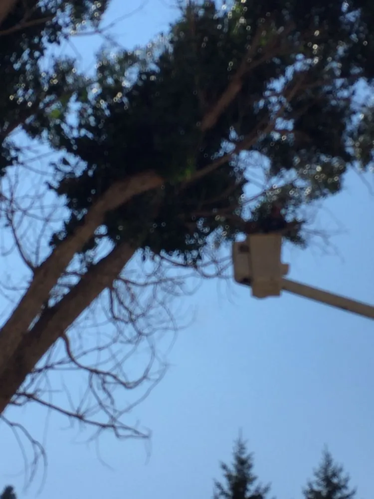 Top-rated yard maintenance experts serving Thermopolis, WY - Green Life Solutions