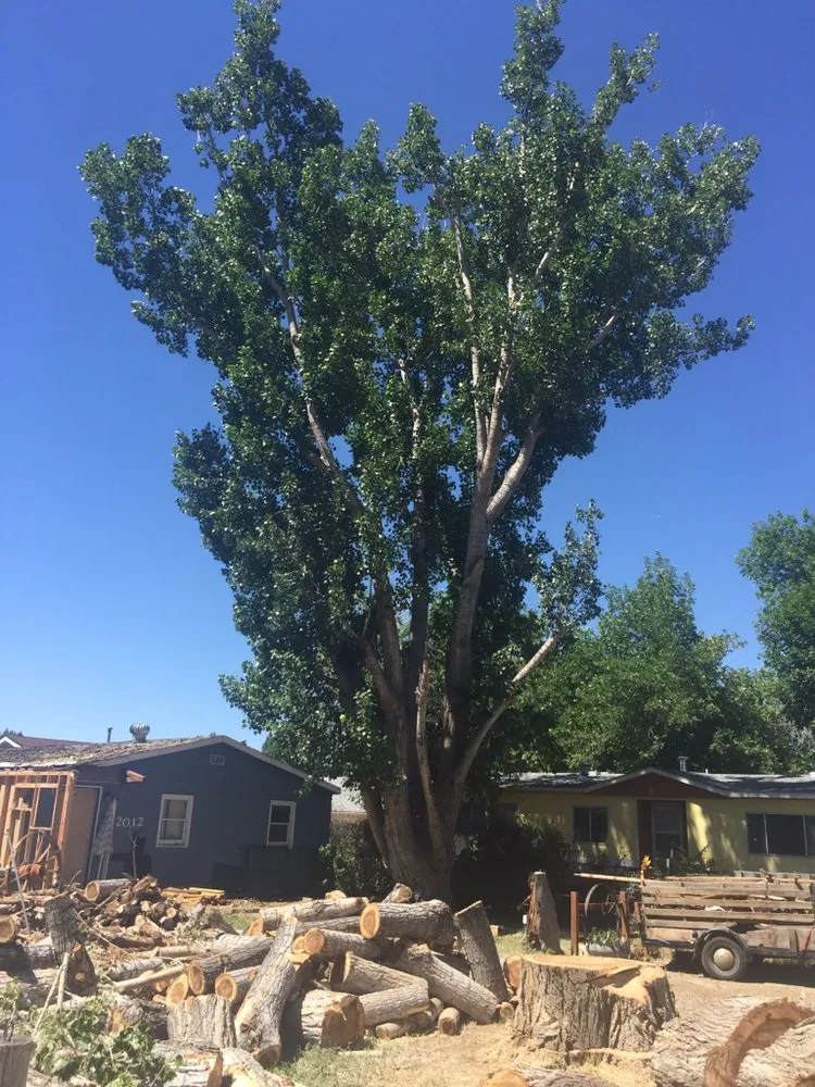 Custom lawn mowing service for year-round maintenance across Thermopolis, WY - Green Life Solutions