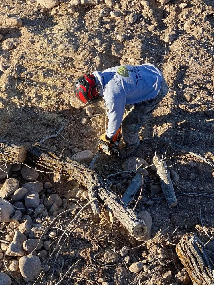 Local lawn mowing service for outdoor upgrades in Thermopolis, WY by Green Life Solutions