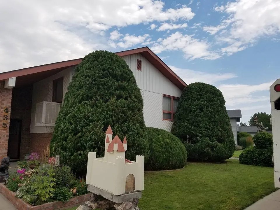 Expert landscape design near you across Thermopolis, WY - Green Life Solutions