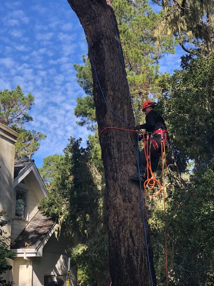 Affordable lawn mowing service for homes in Seaside, CA by Green Life Tree Service