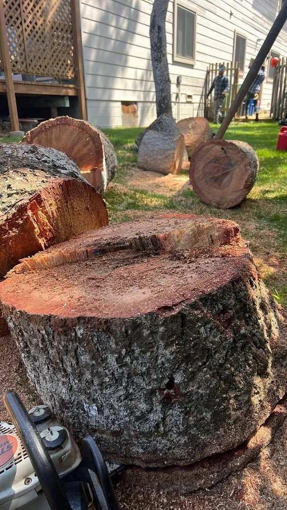 Trusted residential landscaping in Seaside, CA - Green Life Tree Service