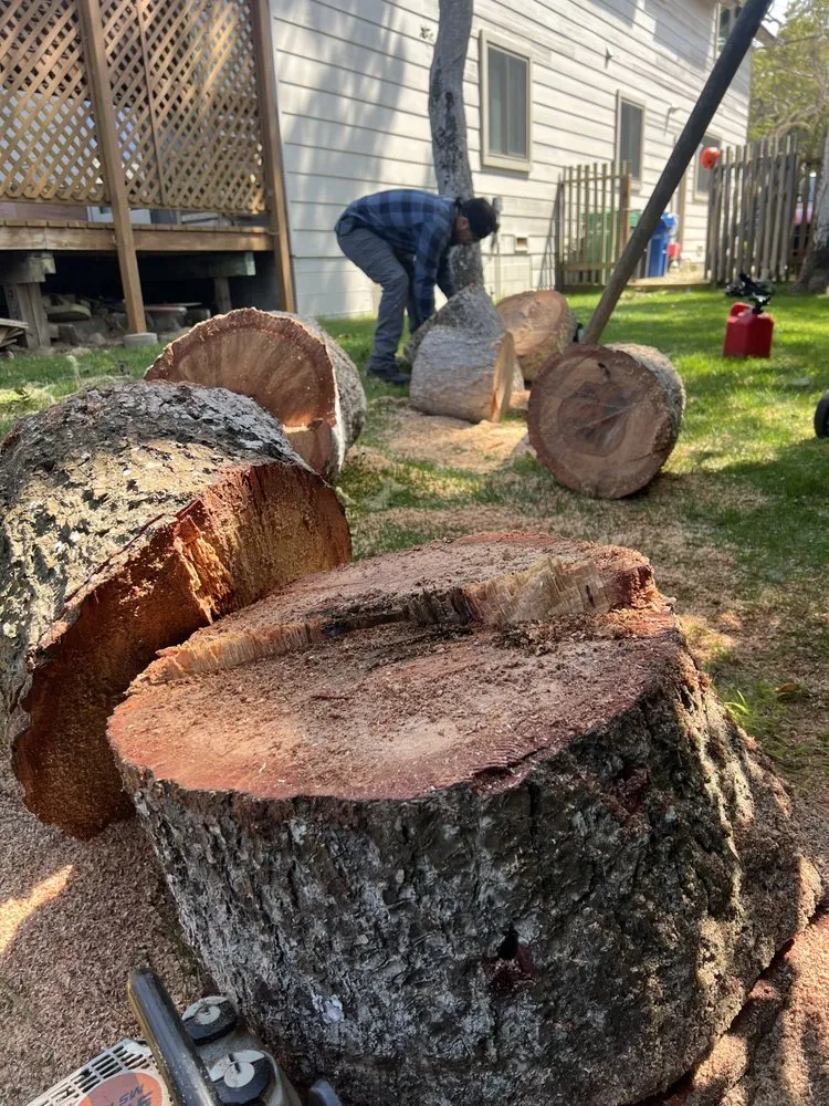 Local landscape design experts serving Seaside, CA - Green Life Tree Service