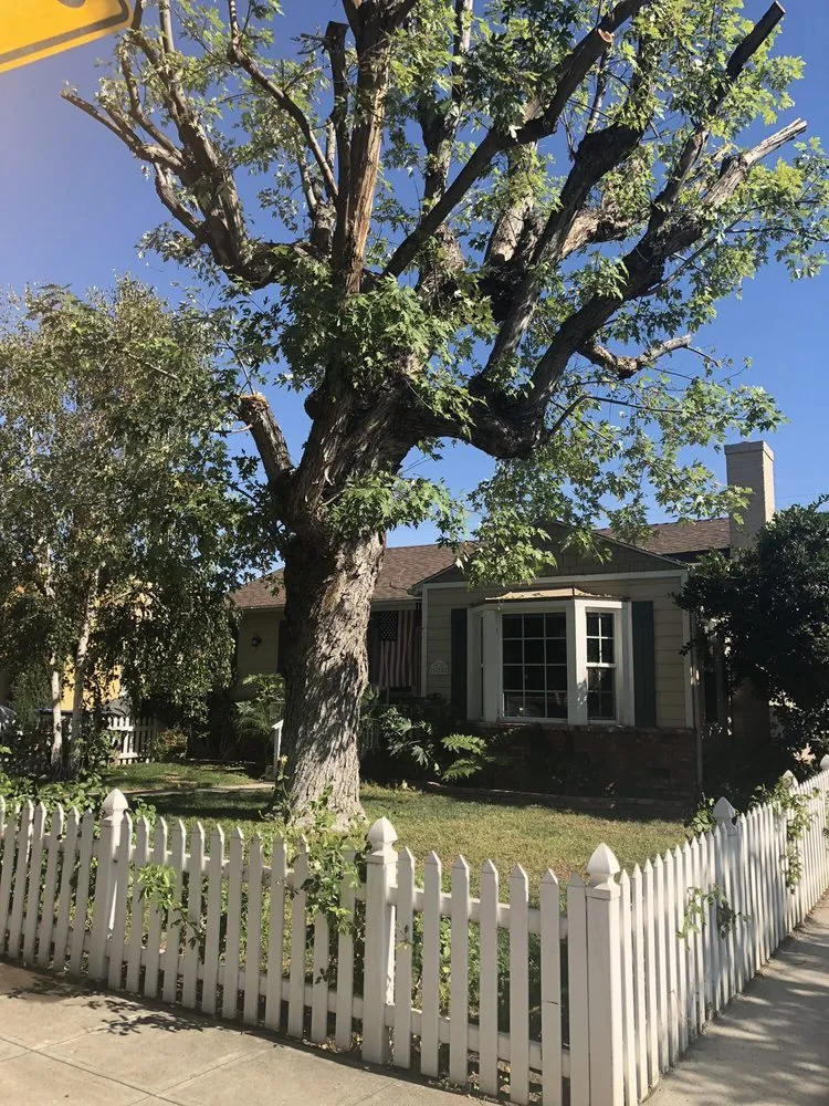 Reliable landscape installation experts serving Antioch, CA - Green Life Yard Services