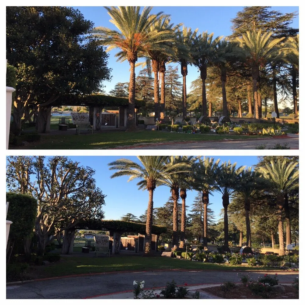 Professional landscaping services in Antioch, CA - Green Life Yard Services