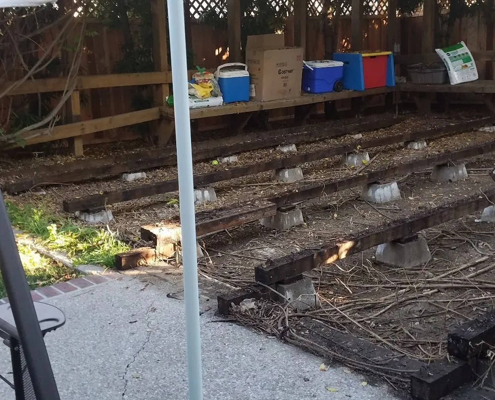 Affordable lawn mowing service experts serving Antioch, CA - Green Life Yard Services