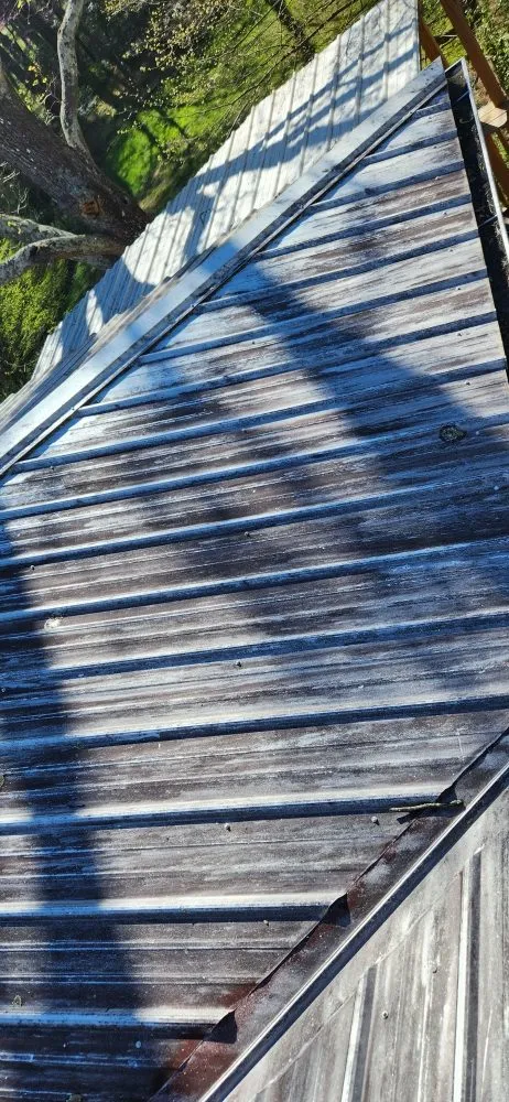 Local residential landscaping experts serving Asheville, NC - Green Light Lawn Care