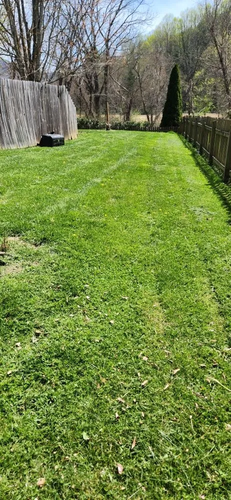 Trusted yard maintenance with custom design across Asheville, NC - Green Light Lawn Care