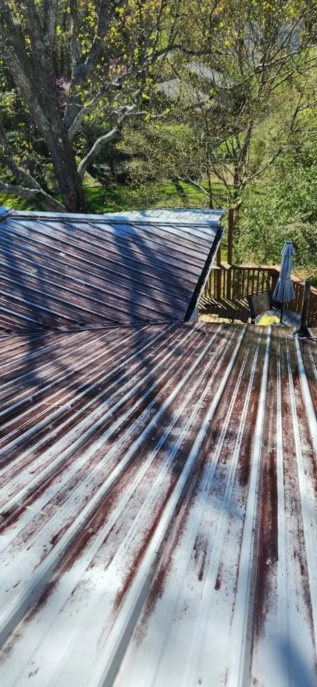 Affordable lawn care service in Asheville, NC - Green Light Lawn Care