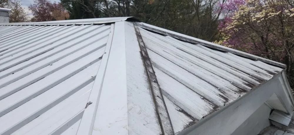 Affordable lawn care service with custom design in Asheville, NC by Green Light Lawn Care