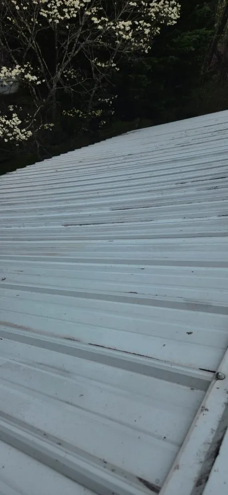 Top-rated residential landscaping in Asheville, NC - Green Light Lawn Care