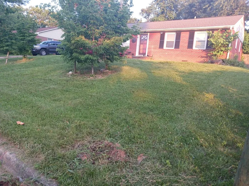 Professional landscaping services in Asheville, NC by Green Light Lawn Care