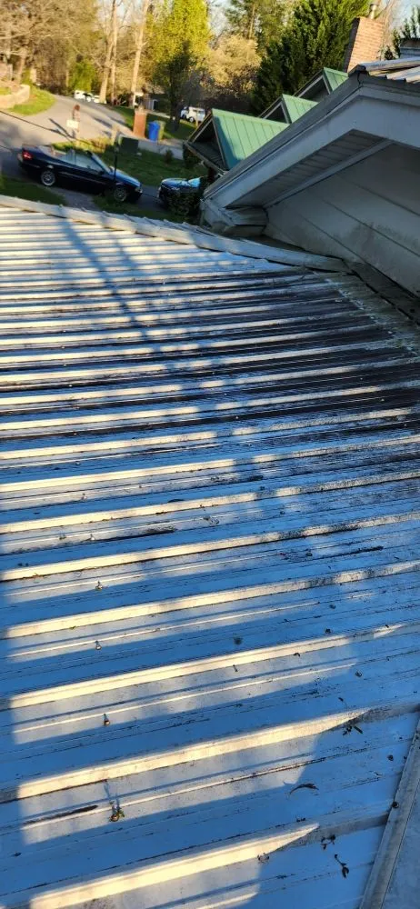 Professional yard maintenance for residential properties in Asheville, NC by Green Light Lawn Care