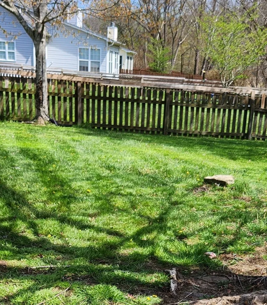 Reliable lawn care service experts serving Asheville, NC - Green Light Lawn Care