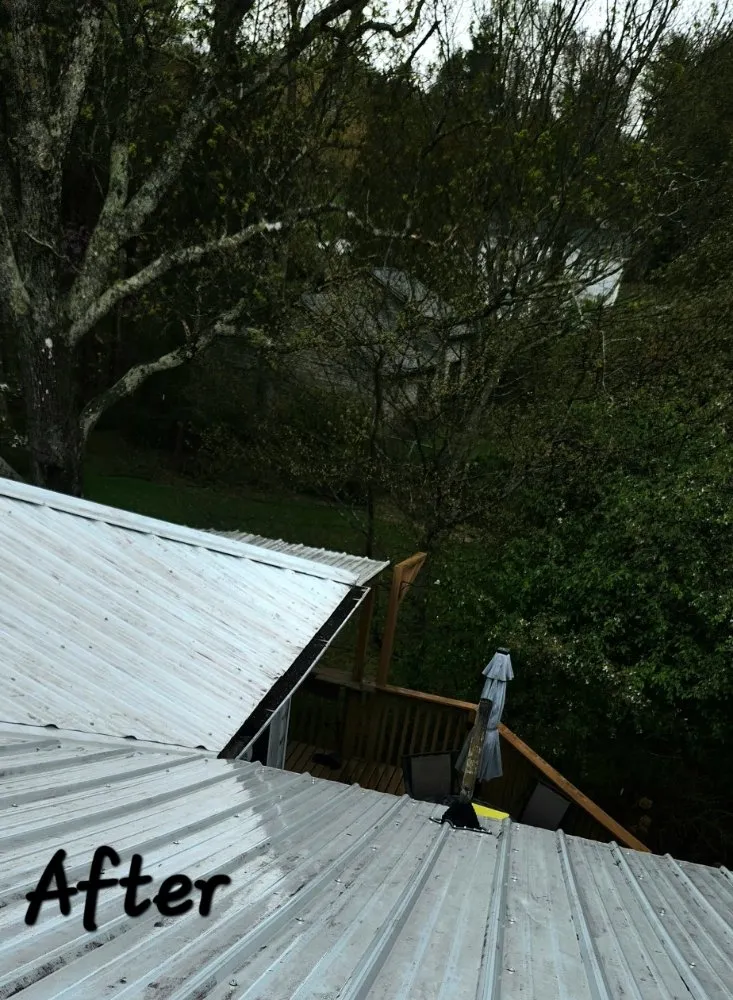 Custom lawn mowing service for homes across Asheville, NC - Green Light Lawn Care